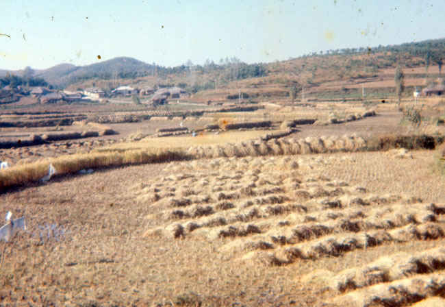 Korea Rice paddies outside of B Battery 1973-1974